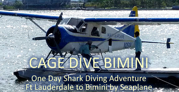 Cage Dive Bimini Island. Fly from Ft Lauderdale to Bimini by Seaplane. Full Day & Half Day charters.