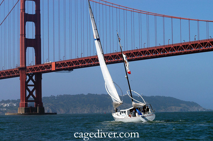 The Baylis sails under the Golden Gate Bridge