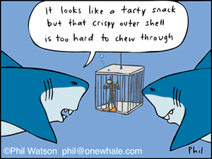 Shark Cartoons